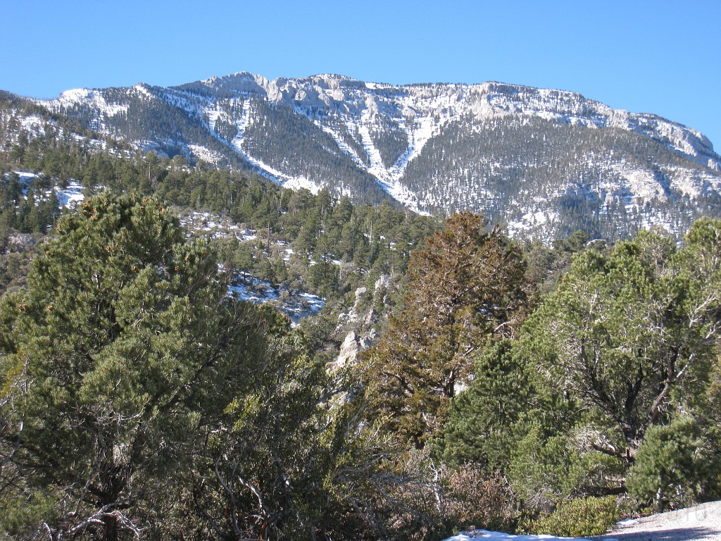 Las Vegas 2010 - Mt Charleston 0231.JPG - The 2010 Las Vegas Fire - Ice and Sweat Tour. Half Marathon, Red Rock Canyon, Casinos, Valley of Fire.... and buffets!